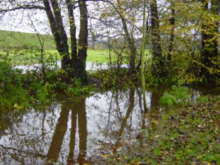 Overstroming Laagland en Het Leeg 24 Augustus 2002 - Laarsebeek uit de oevers achter Laagland