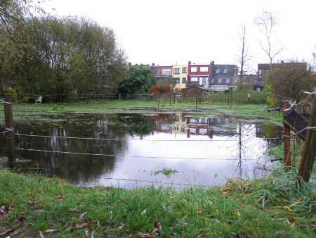 Overstroming Laagland en Het Leeg 24 Augustus 2002 - weiland