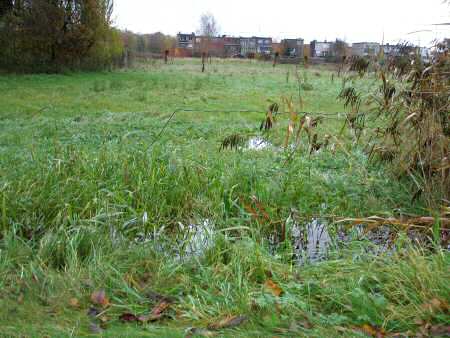 Overstroming Laagland en Het Leeg 24 Augustus 2002 - Laarsebeek uit de oevers achter Laagland