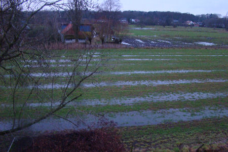 Verzadigd weiland Het Leeg 19 Januari 2011 - zicht op Boerderij
