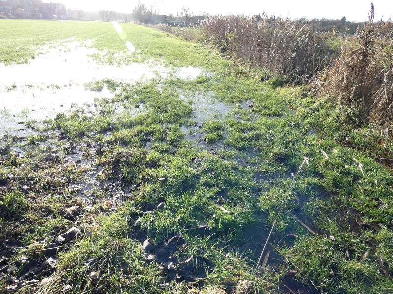 Grondwater staat op 15 december 2019 tot boven het maaiveld tussen de Tomermaat en Het Leeg nabij de Laarsebeek