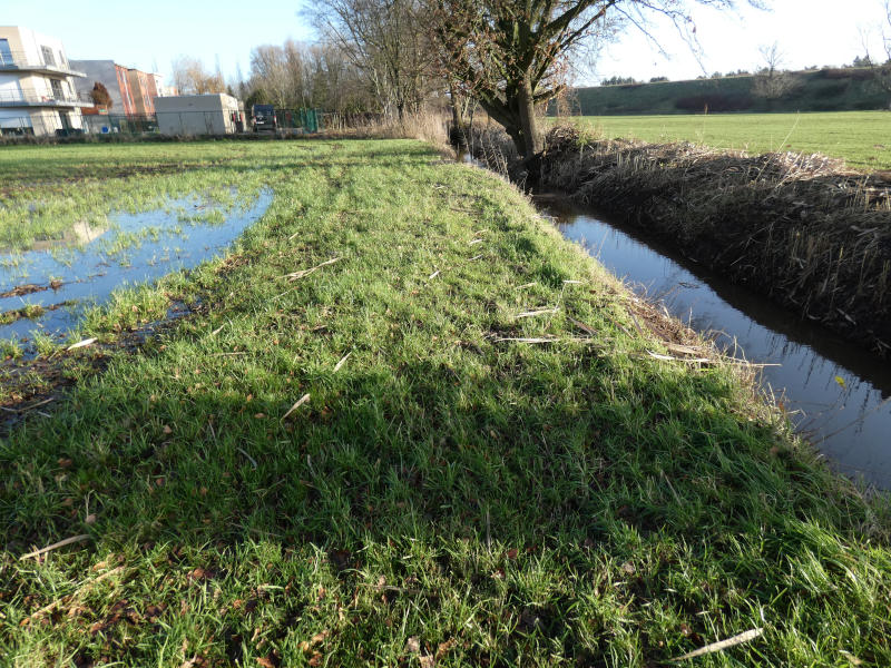 Grondwater staat op 15 december 2019 tot boven het maaiveld tussen Het Leeg en Laagland en het blijft aanzienlijk boven het niveau van de Laarsebeek
