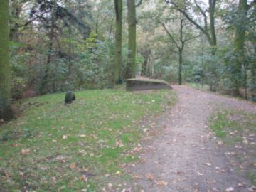 Bunker in het bos van de Driehoekjes