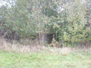 Bunker in open landschap